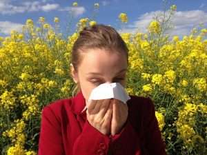 hooikoorts of allergische rhinitis