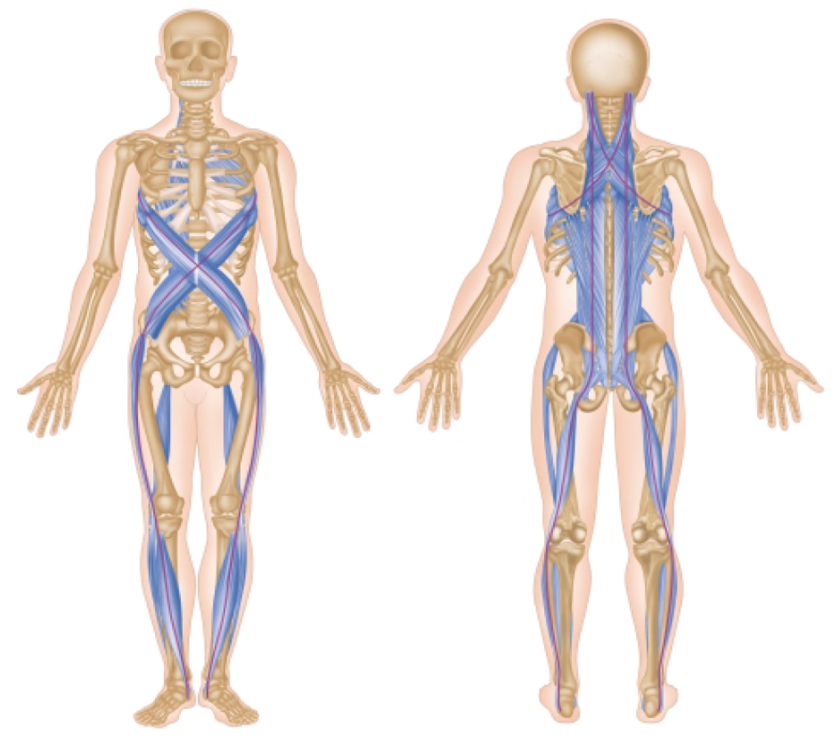 Uitgangspunten Osteopathie Integraal Medisch Centrum