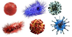 verschillende virussen die chronische infecties veroorzaken